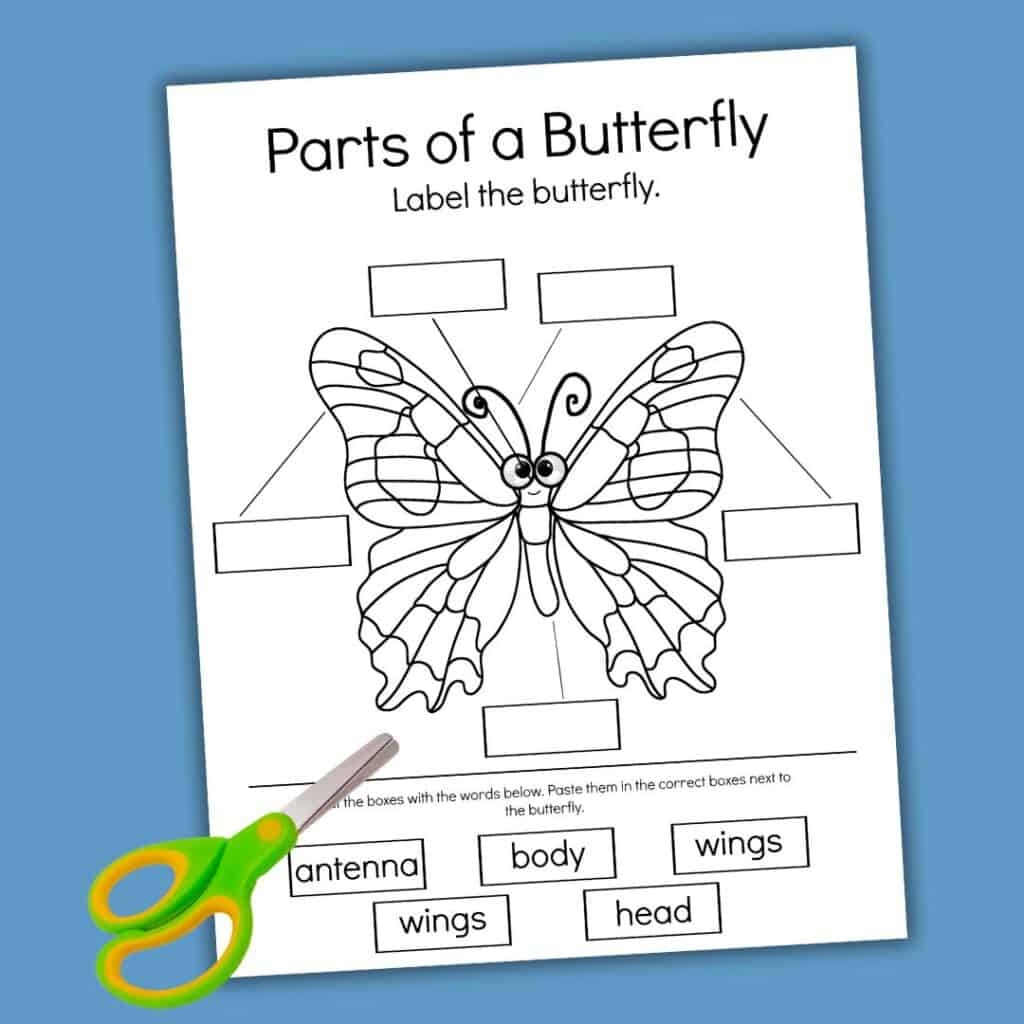 Free Parts Of A Butterfly Worksheet Fun Activities Free Parts Of A Butterfly Worksheet Fun Activities