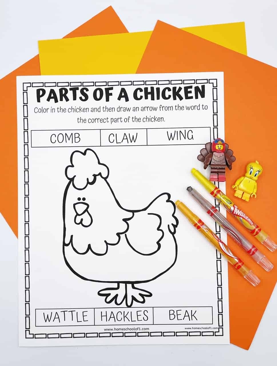 Free Parts Of A Chicken Worksheet Free Parts Of A Chicken Worksheet