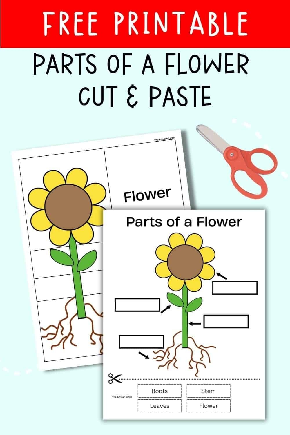 Free Parts Of A Flower Printables The Artisan Life