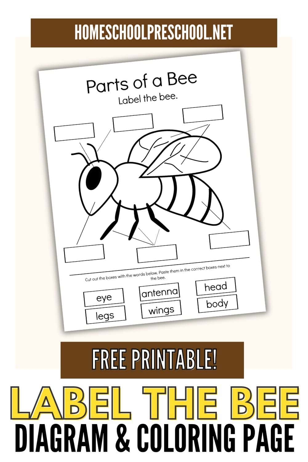 Free Printable Parts Of A Bee Preschool Worksheet