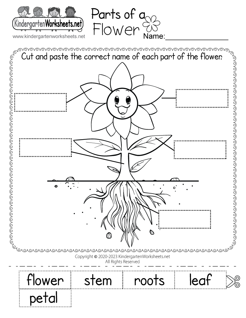 Parts Of A Plant Read And Choose Worksheet For Kindergarten Or ESL Students Free Printable PDF Download Ezpzlearn