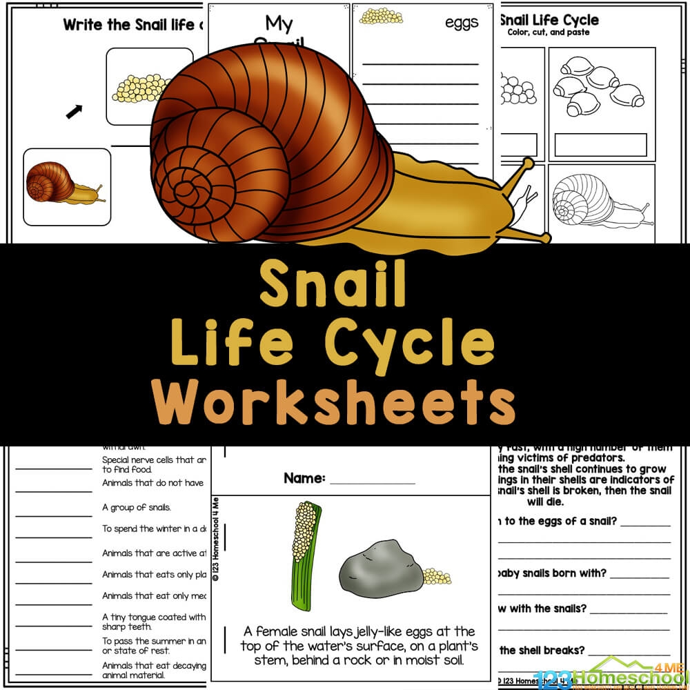 Preschool Worms Snails And Slugs Theme Pre K Printable Fun