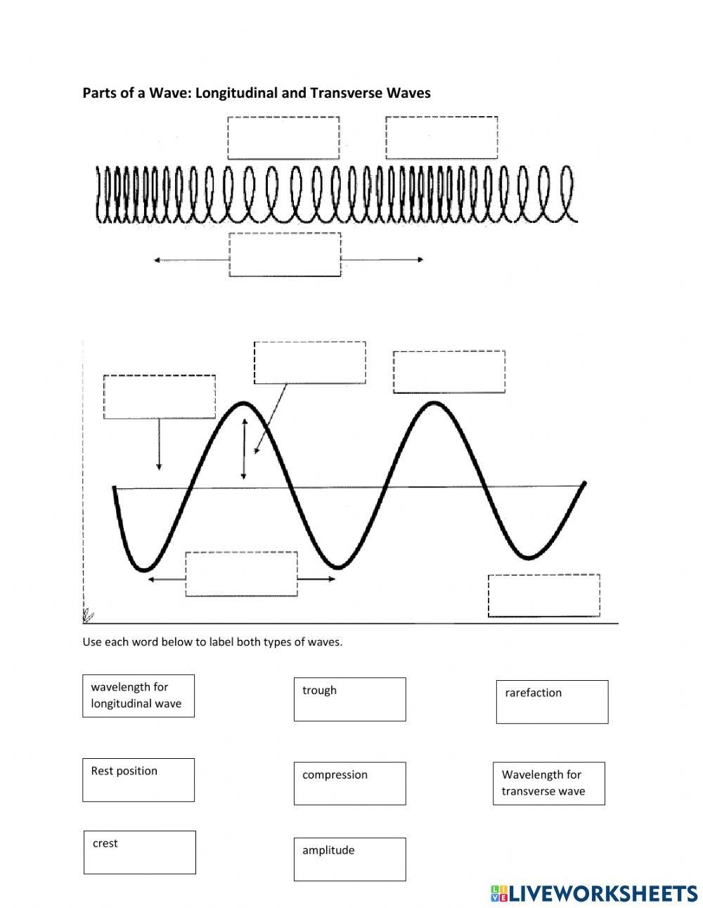 Free Transverse And Longitudinal Waves Worksheet Download Free Transverse And Longitudinal Waves Worksheet Png Images Free Worksheets On Clipart Library Free Transverse And Longitudinal Waves Worksheet Download Free Transverse And Longitudinal Waves Worksheet Png Images Free Worksheets On Clipart Library