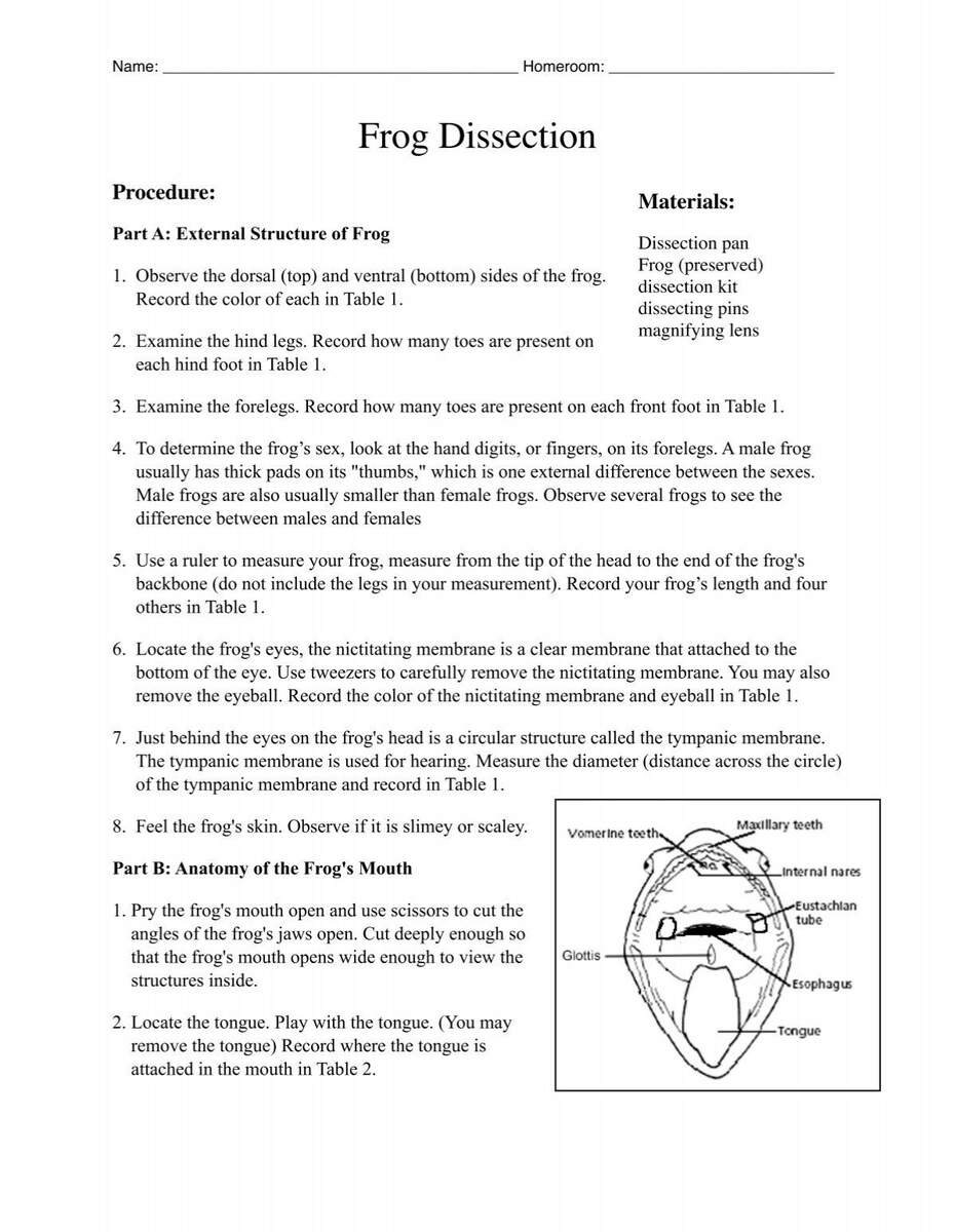 Frog Dissection