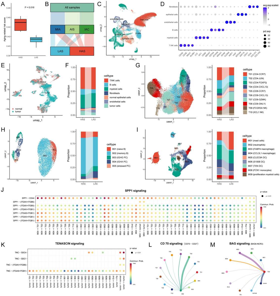 Frontiers Exploring The Molecular And Immune Landscape Of Cellular Senescence In Lung Adenocarcinoma Frontiers Exploring The Molecular And Immune Landscape Of Cellular Senescence In Lung Adenocarcinoma