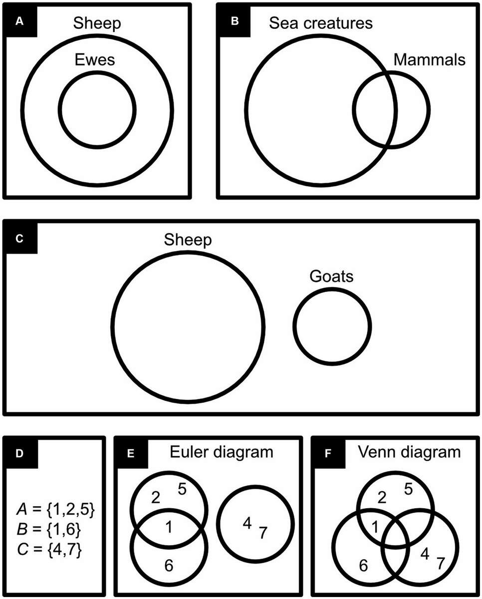 Frontiers Iconic Logic The Visual Art Of Drawing The Right Conclusion