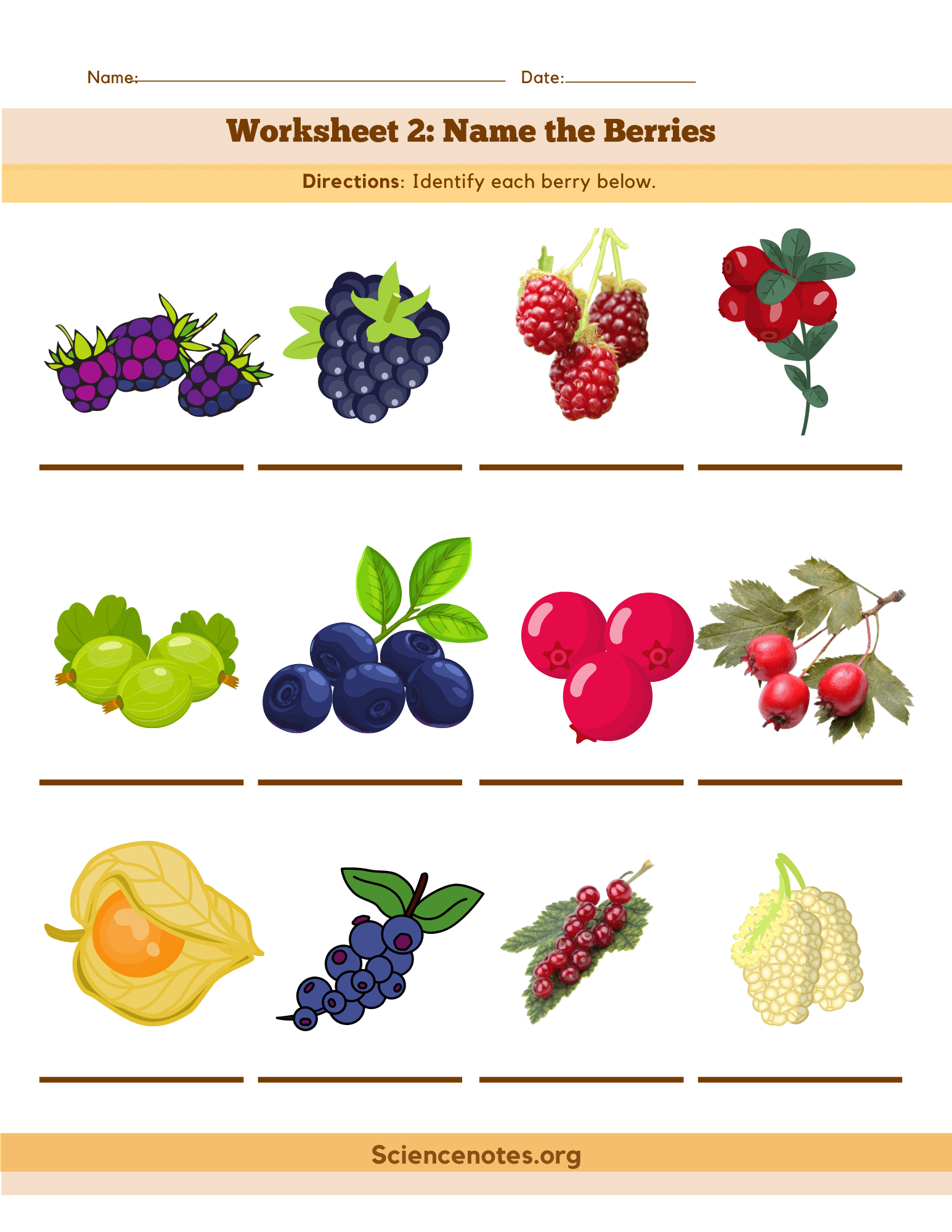 Fruits And Vegetables Worksheets