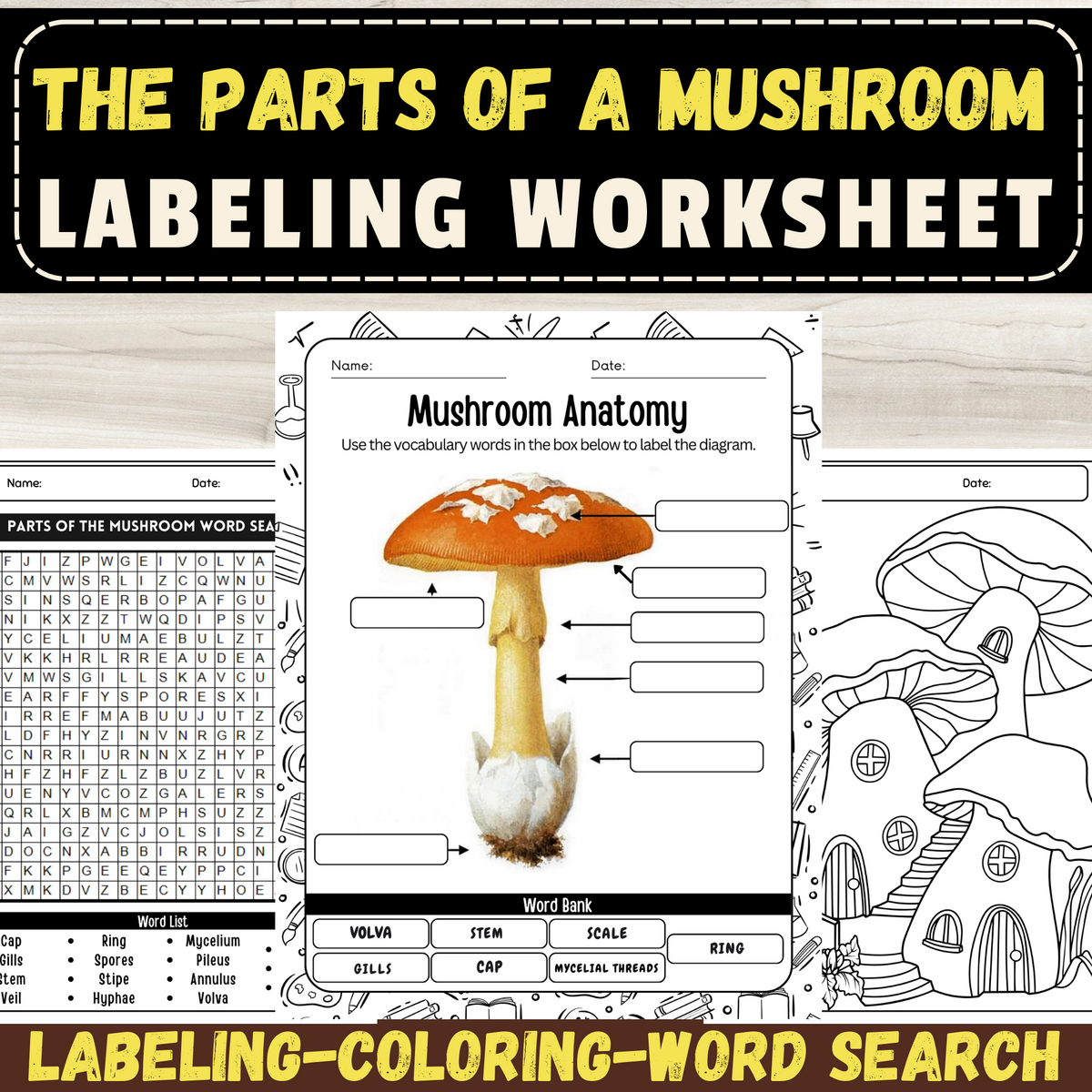 Fungal Anatomy Worksheet Mushroom Labeling Activity For Biology Class Made By Teachers Fungal Anatomy Worksheet Mushroom Labeling Activity For Biology Class Made By Teachers