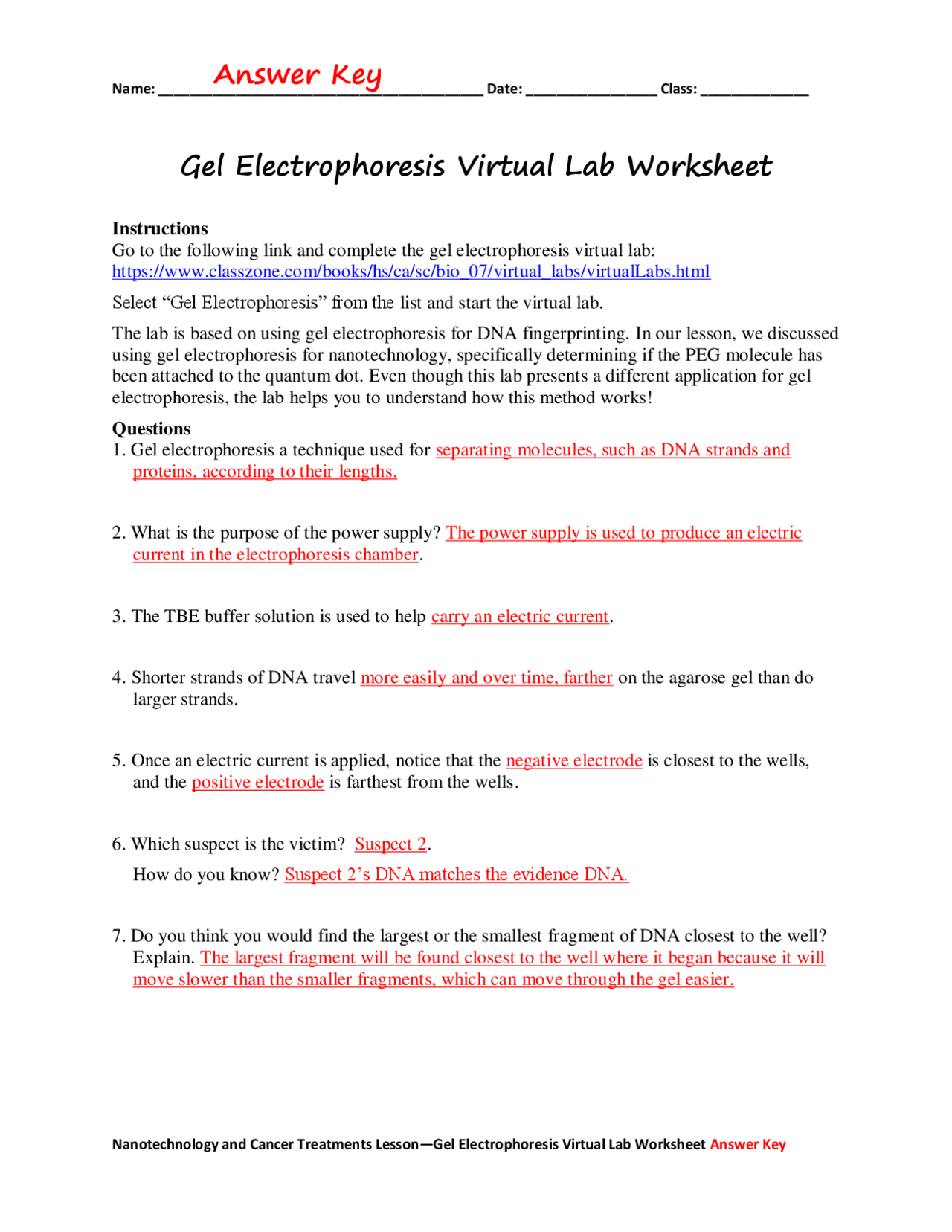Gel Electrophoresis Virtual Lab Worksheet Answer Key Exercises Genetics Docsity