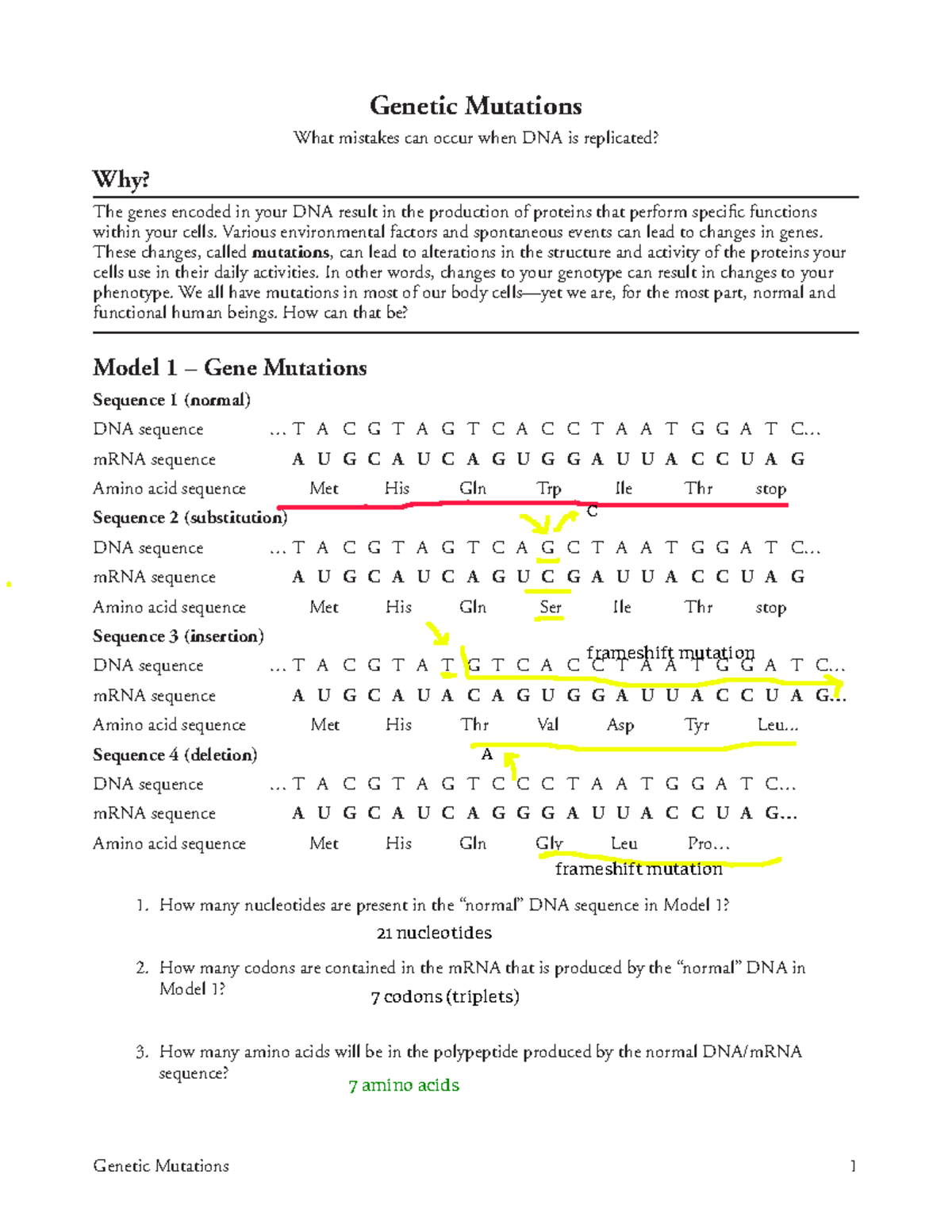 Mutation Worksheet Exploring Different Types Of Mutations Studocu