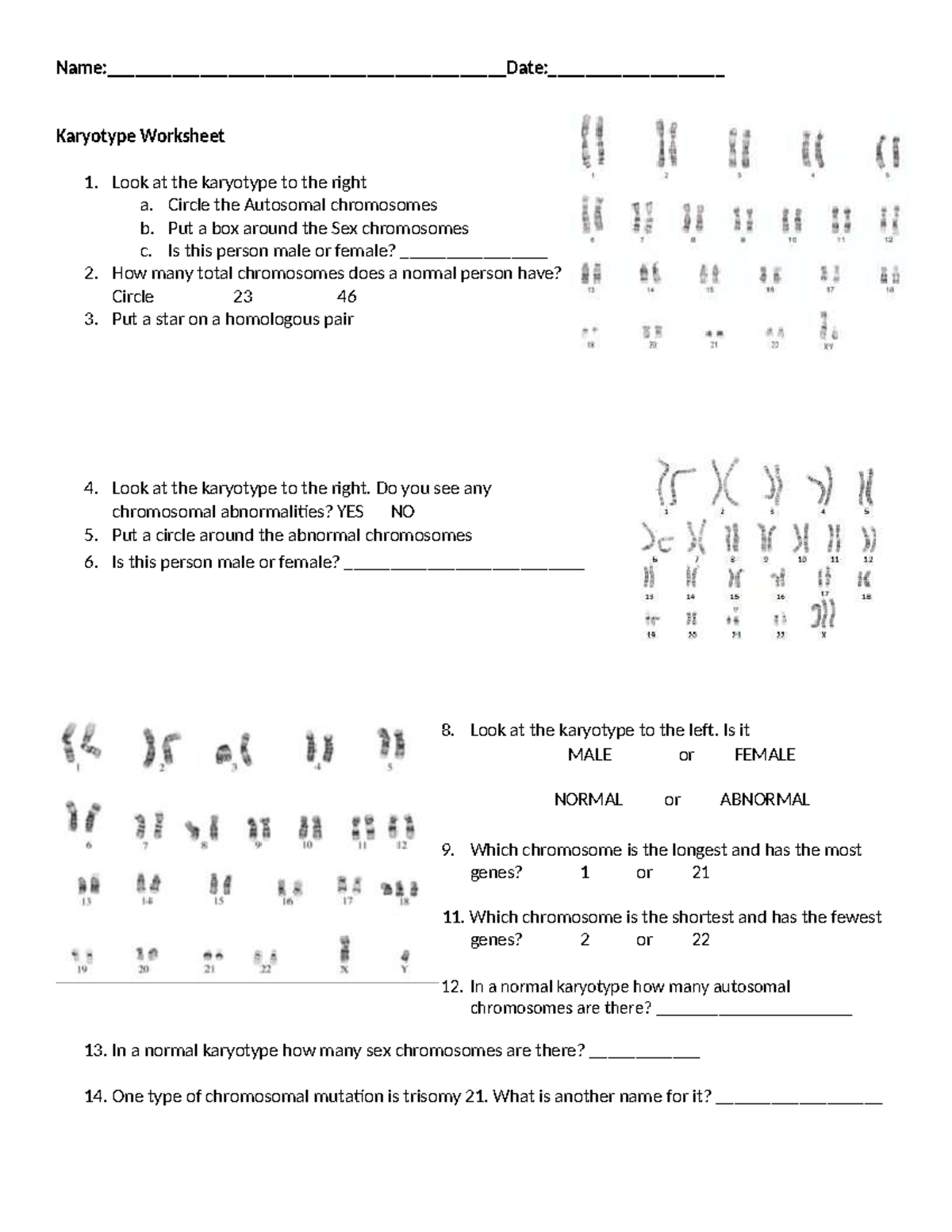 Genetics 101 Karyotype Lab Worksheet For Analysis And Study Studocu Genetics 101 Karyotype Lab Worksheet For Analysis And Study Studocu