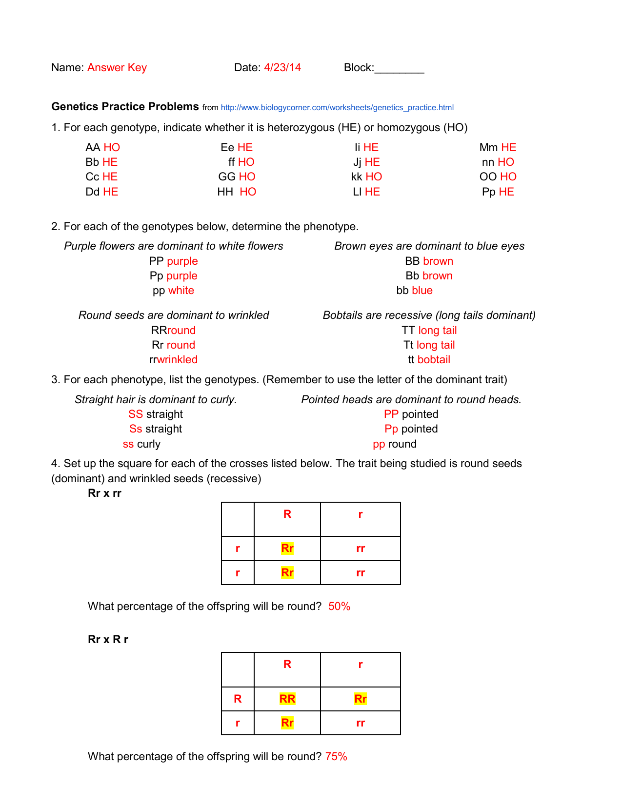 Genetics Practice Problems Worksheet With Answer Key