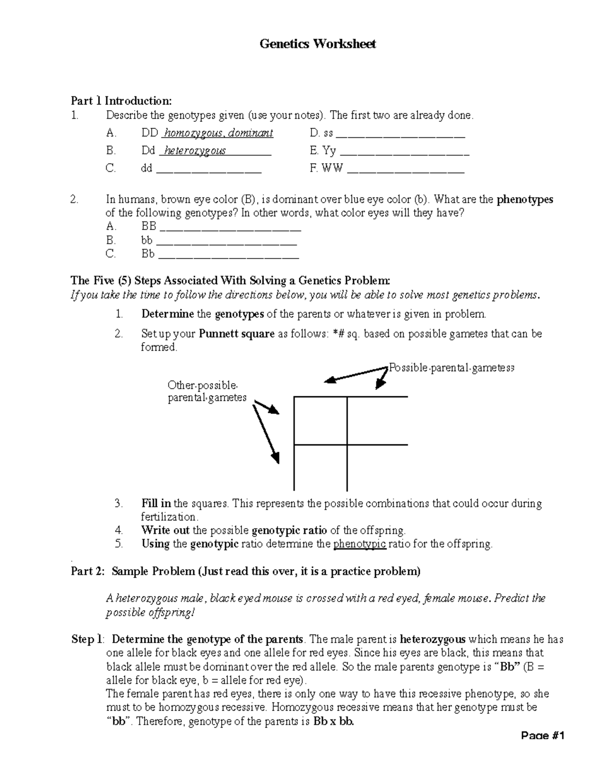 Genotype And Phenotype Practice Worksheet