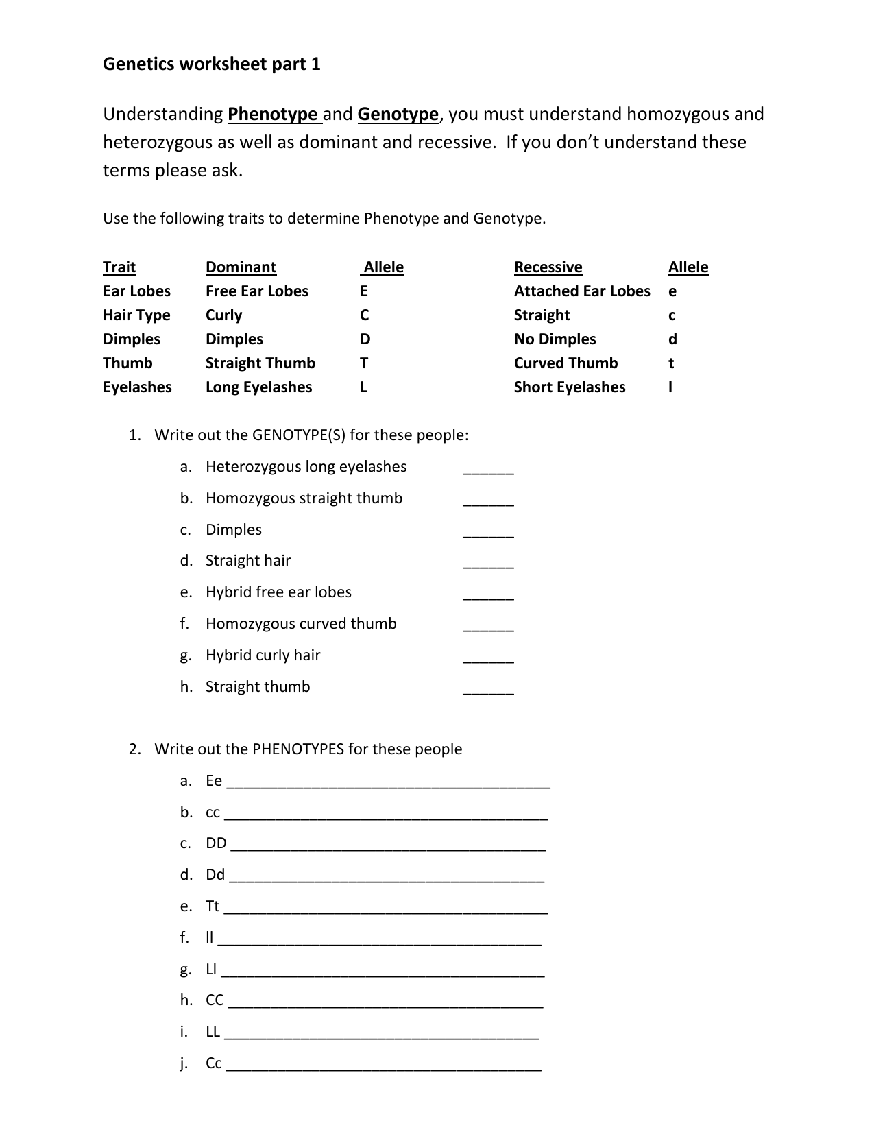 Genetics Worksheet Phenotype Genotype Punnett Squares
