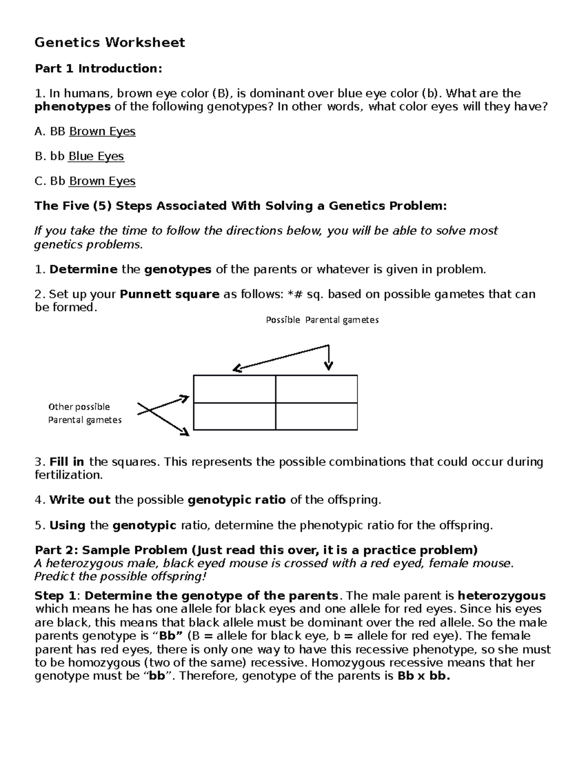 Genetics Worksheet Understanding Basic Concepts And Punnett Squares Studocu Genetics Worksheet Understanding Basic Concepts And Punnett Squares Studocu