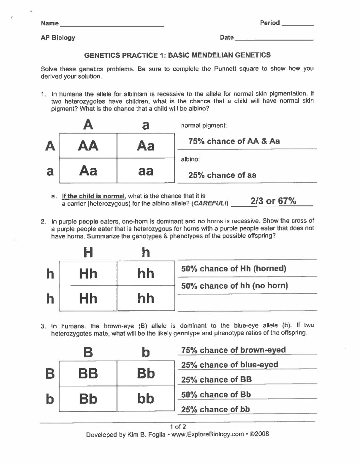 Genetics Worksheet Understanding Genotypes And Punnett Squares Studocu