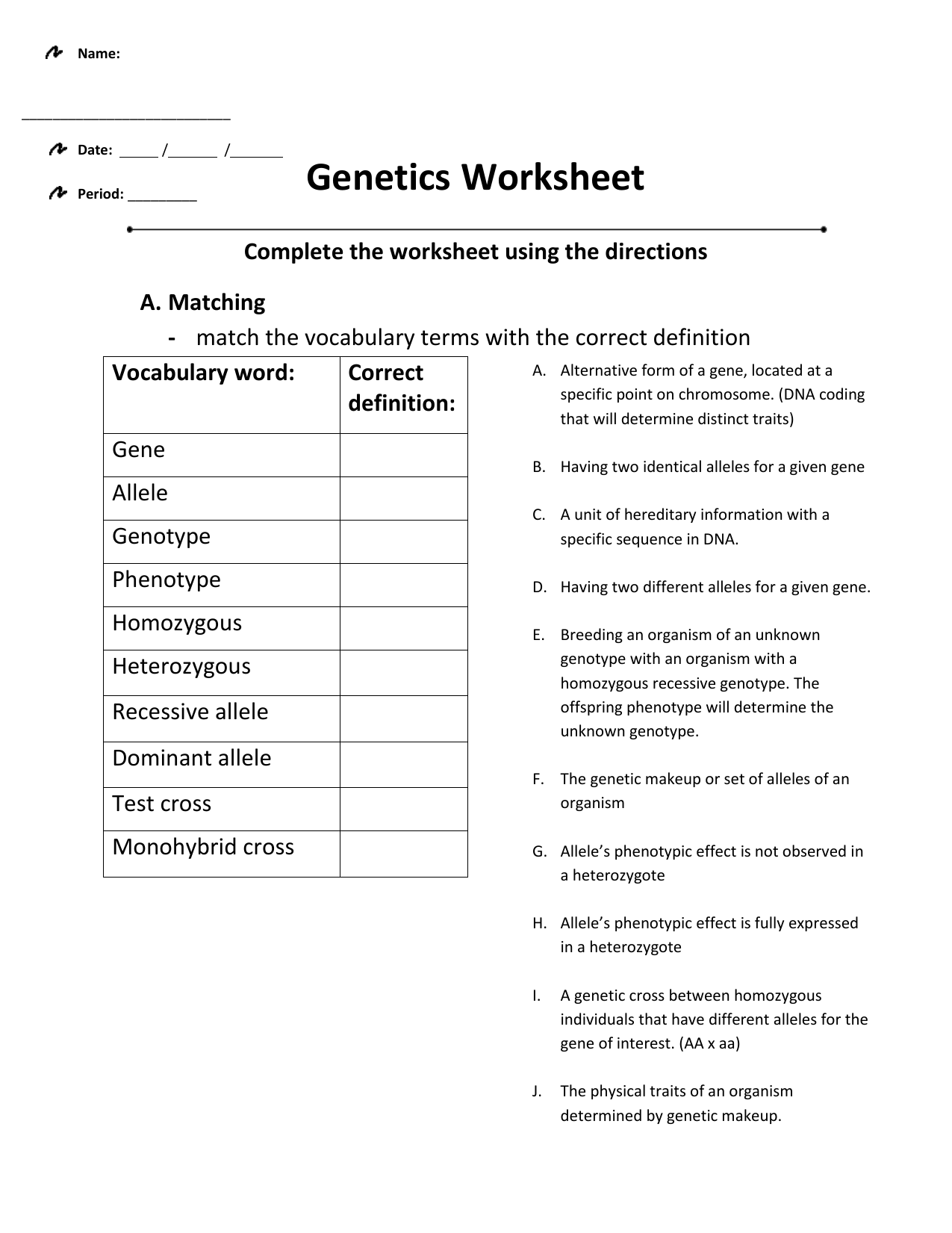 Genetics Worksheet Vocabulary Chromosomes Punnett Squares