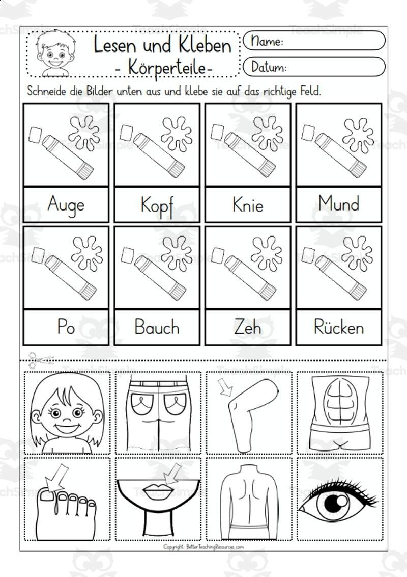 German Cut Glue Activity Body Parts By Teach Simple German Cut Glue Activity Body Parts By Teach Simple