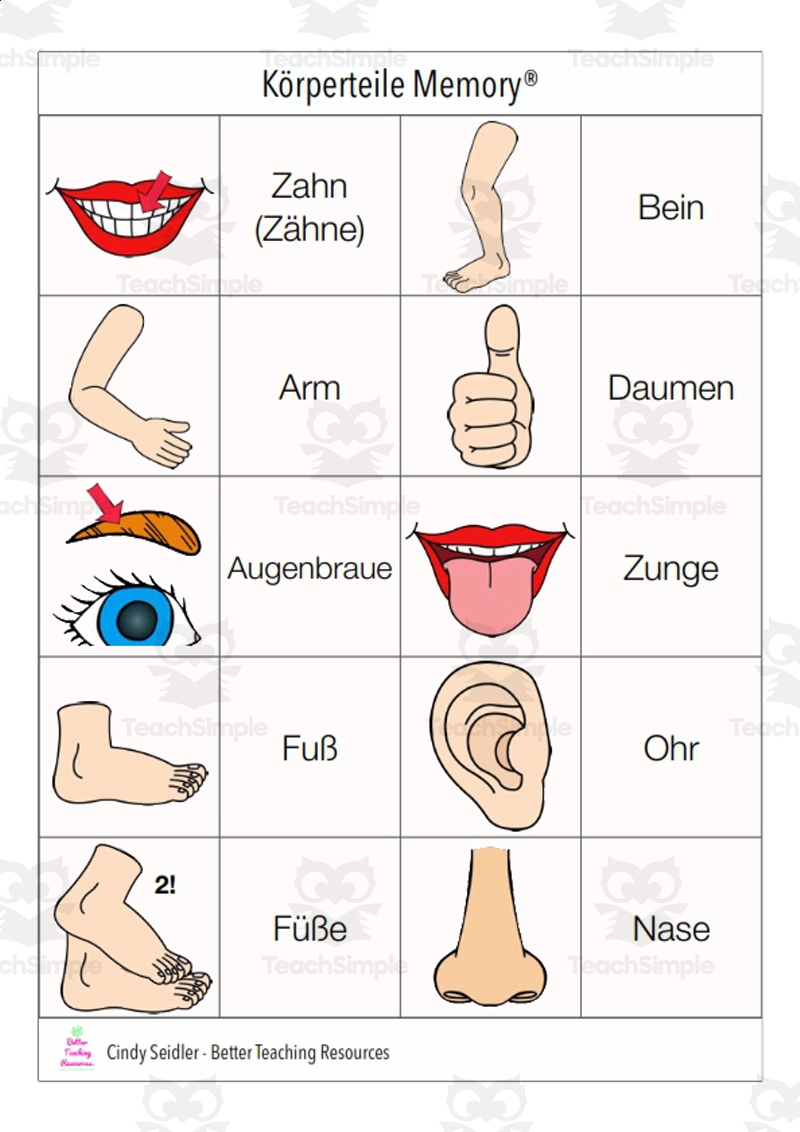 German Memory Cards Body Parts By Teach Simple