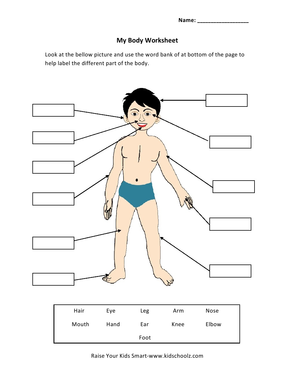 Grade 1 Human Body Parts Worksheet Kidschoolz