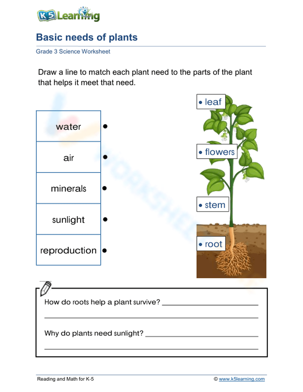 Grade 1 Parts Of A Flower Worksheets Printable