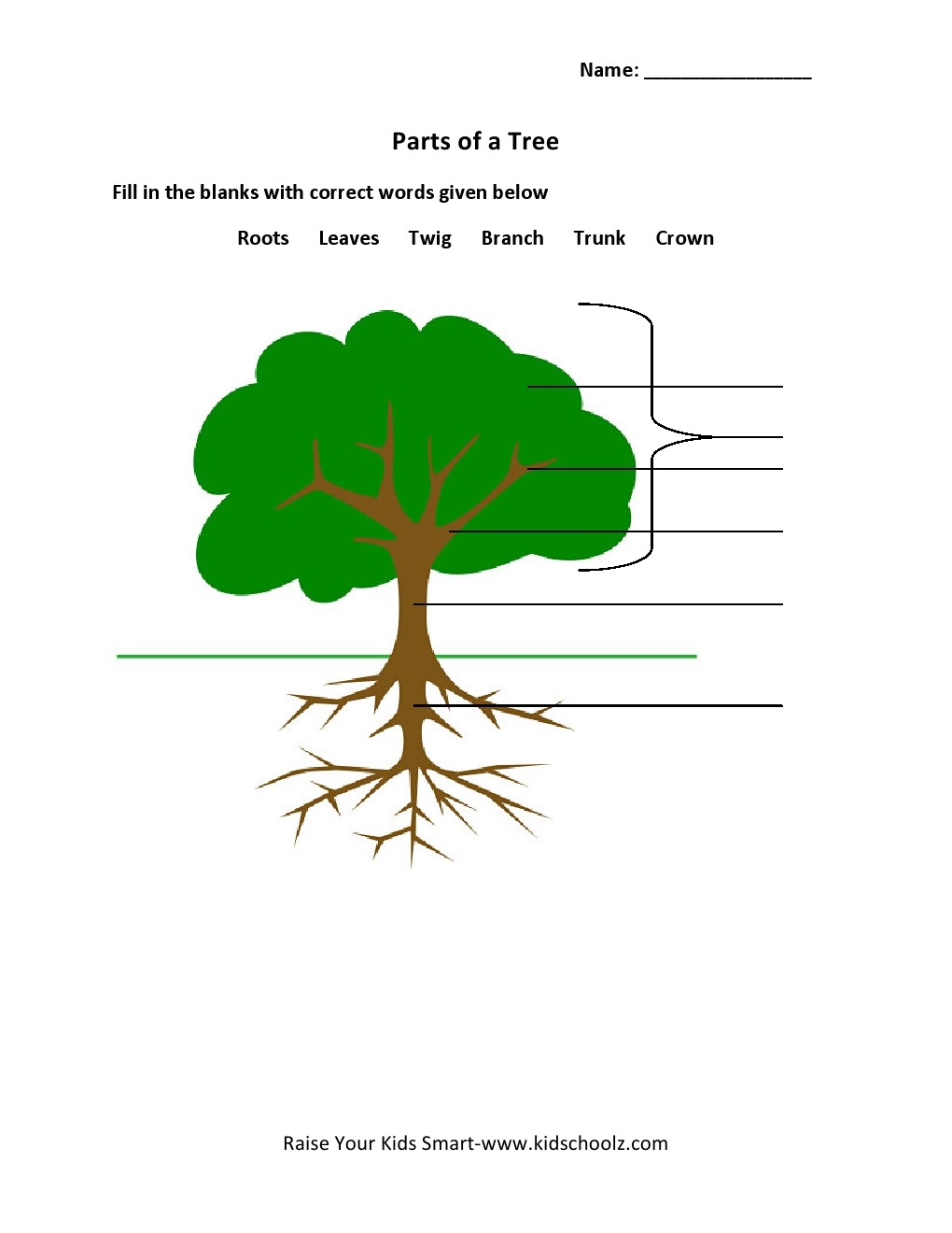 Grade 2 Parts Of A Tree Worksheet 3 Kidschoolz Grade 2 Parts Of A Tree Worksheet 3 Kidschoolz
