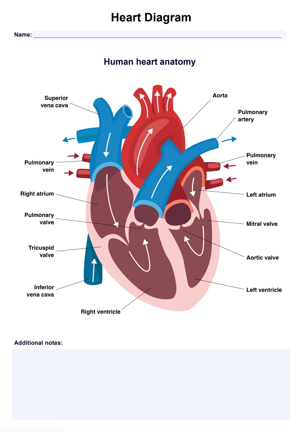 Heart Diagram Heart Diagram