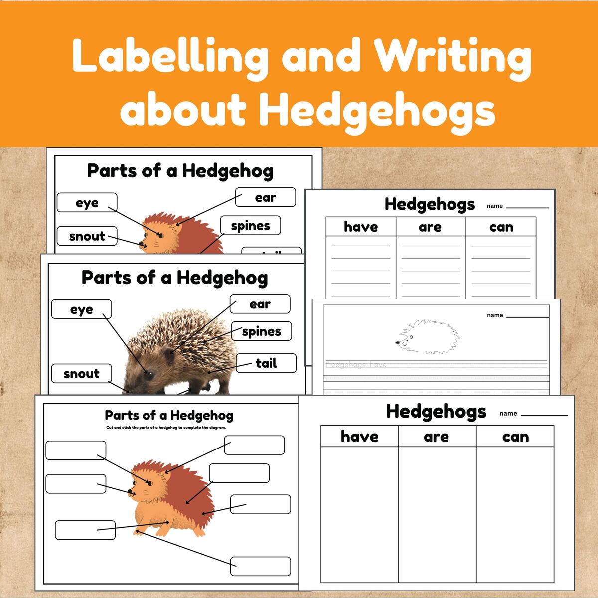 Hedgehog Labeling And Writing Activities Made By Teachers Hedgehog Unit Study Life Cycle Anatomy Nature Printables INSTANT DOWNLOAD Etsy
