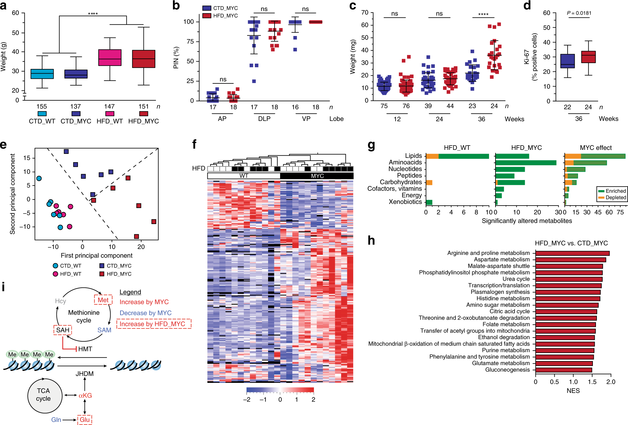 High fat Diet Fuels Prostate Cancer Progression By Rewiring The Metabolome And Amplifying The MYC Program Nature Communications