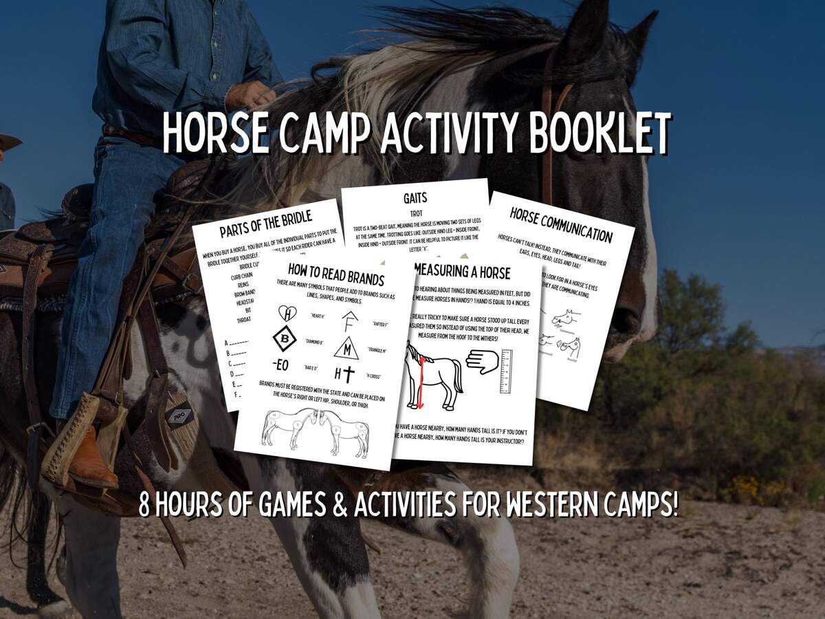 Horse Activity Sheet Etsy UK