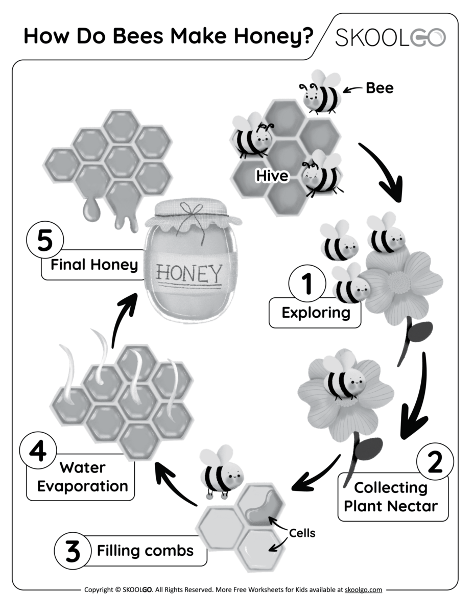 How Do Bees Make Honey Free Worksheet SKOOLGO