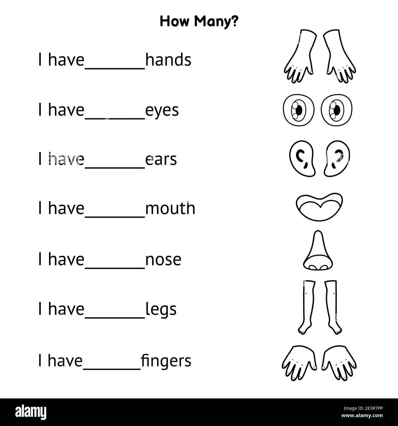 How Many Body Parts Write The Correct Answer Activity Page For School And Preschool Stock Vector Image Art Alamy