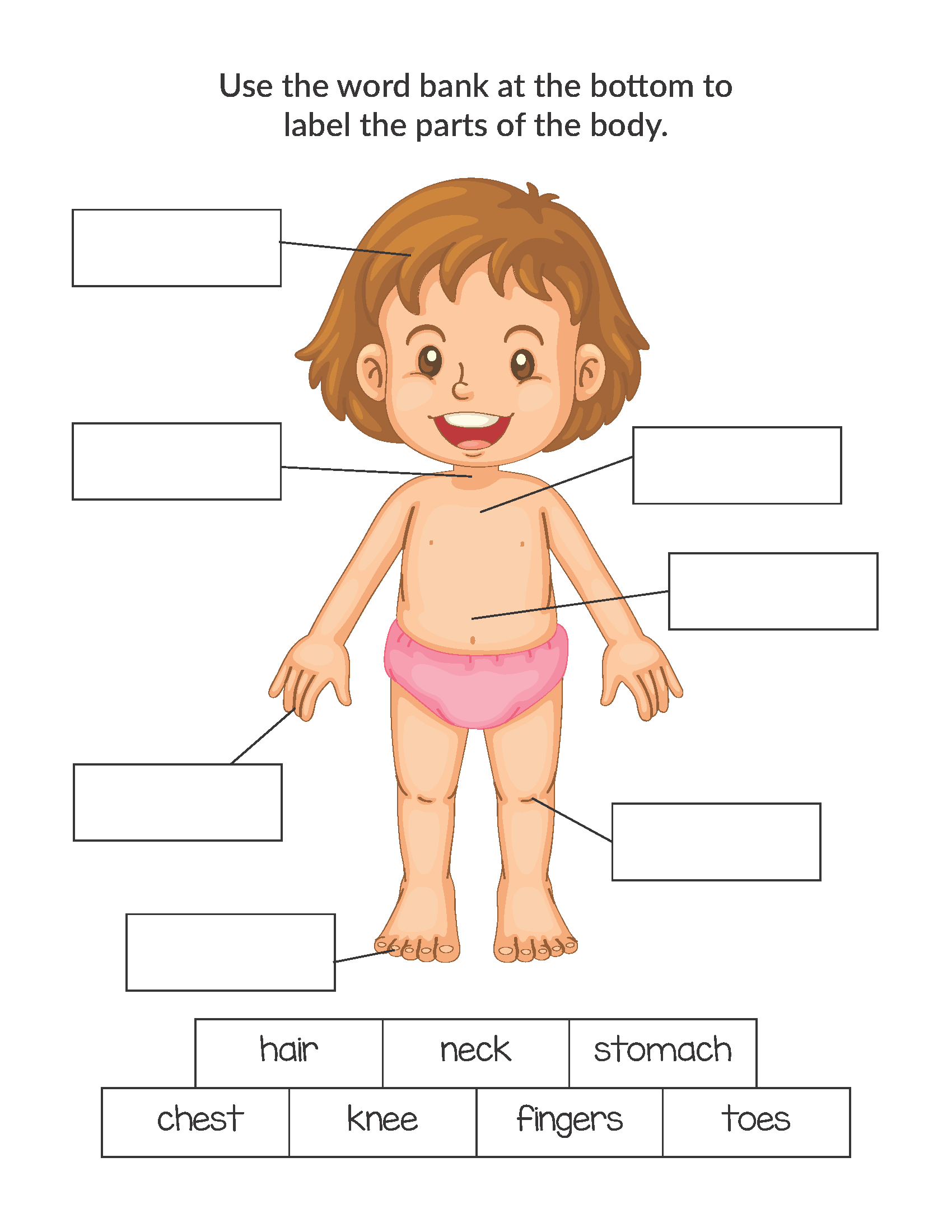 Human Body Printables Bundle Gift Of Curiosity Human Body Printables Bundle Gift Of Curiosity