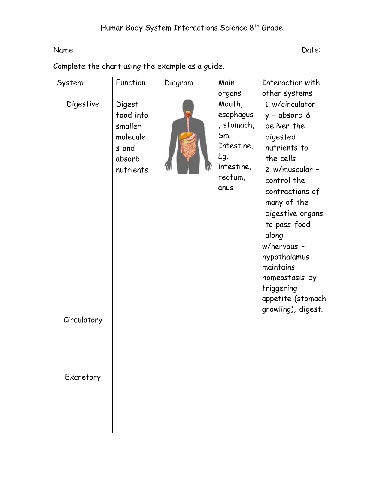 Human Body System Interactions Worksheet