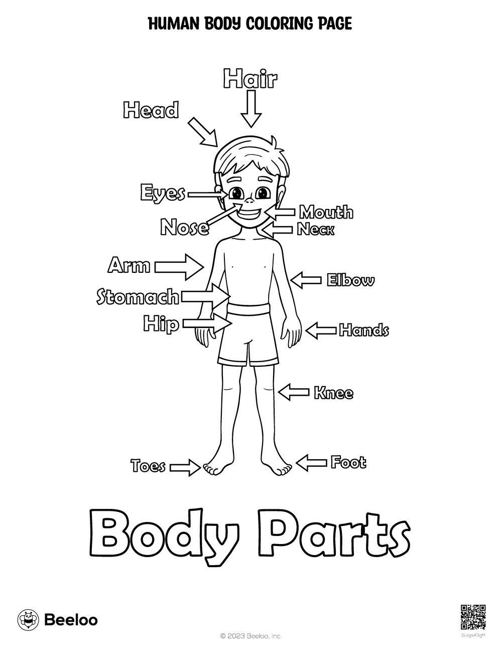 Color By Numbers Body Parts Worksheet By Yenyen231998 Raket PH