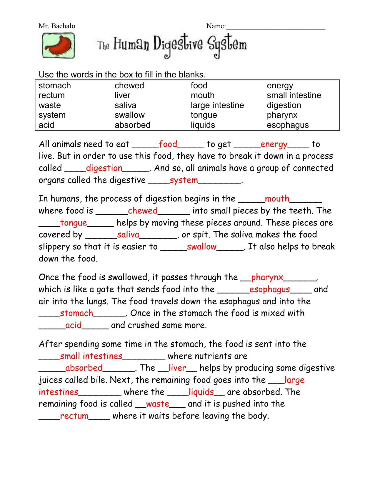 Human Digestive System Worksheet