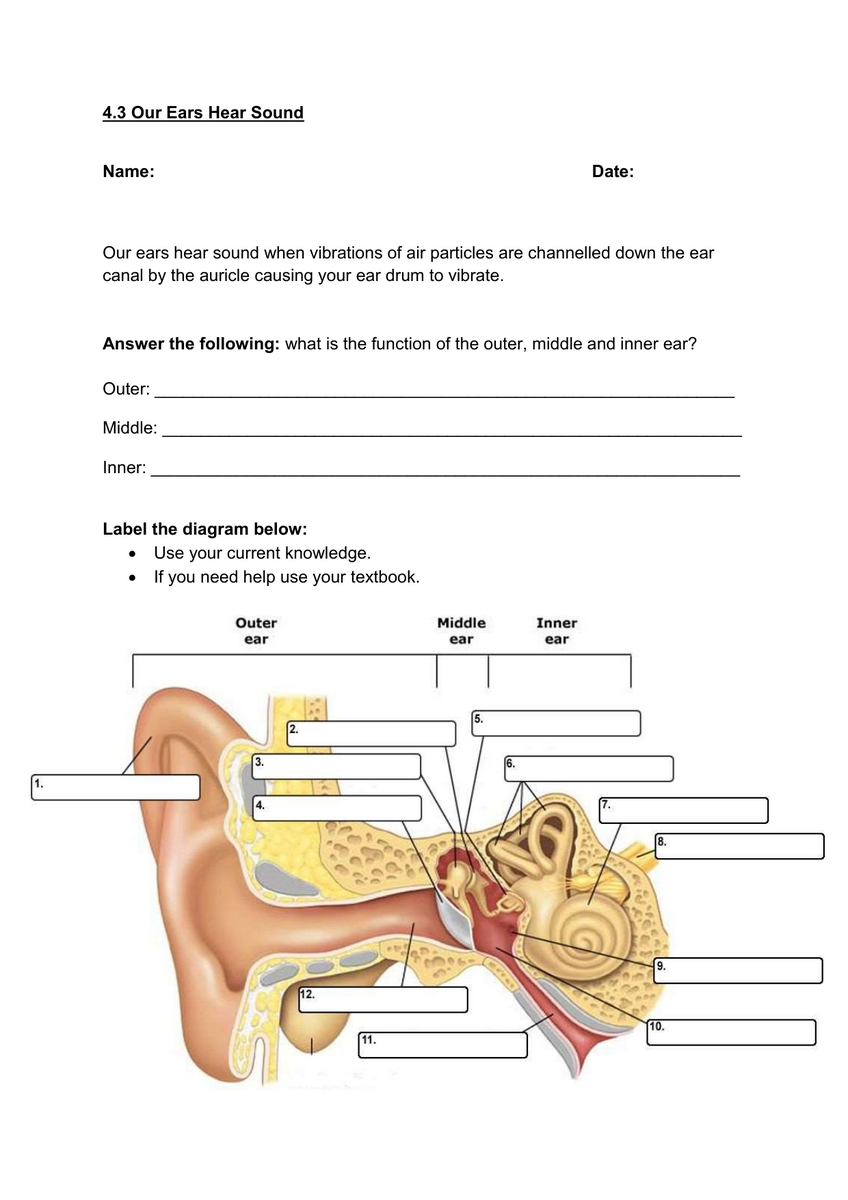 1 4 The Diagram Below Represents The Human Ear 1 4 1 Identify Part A