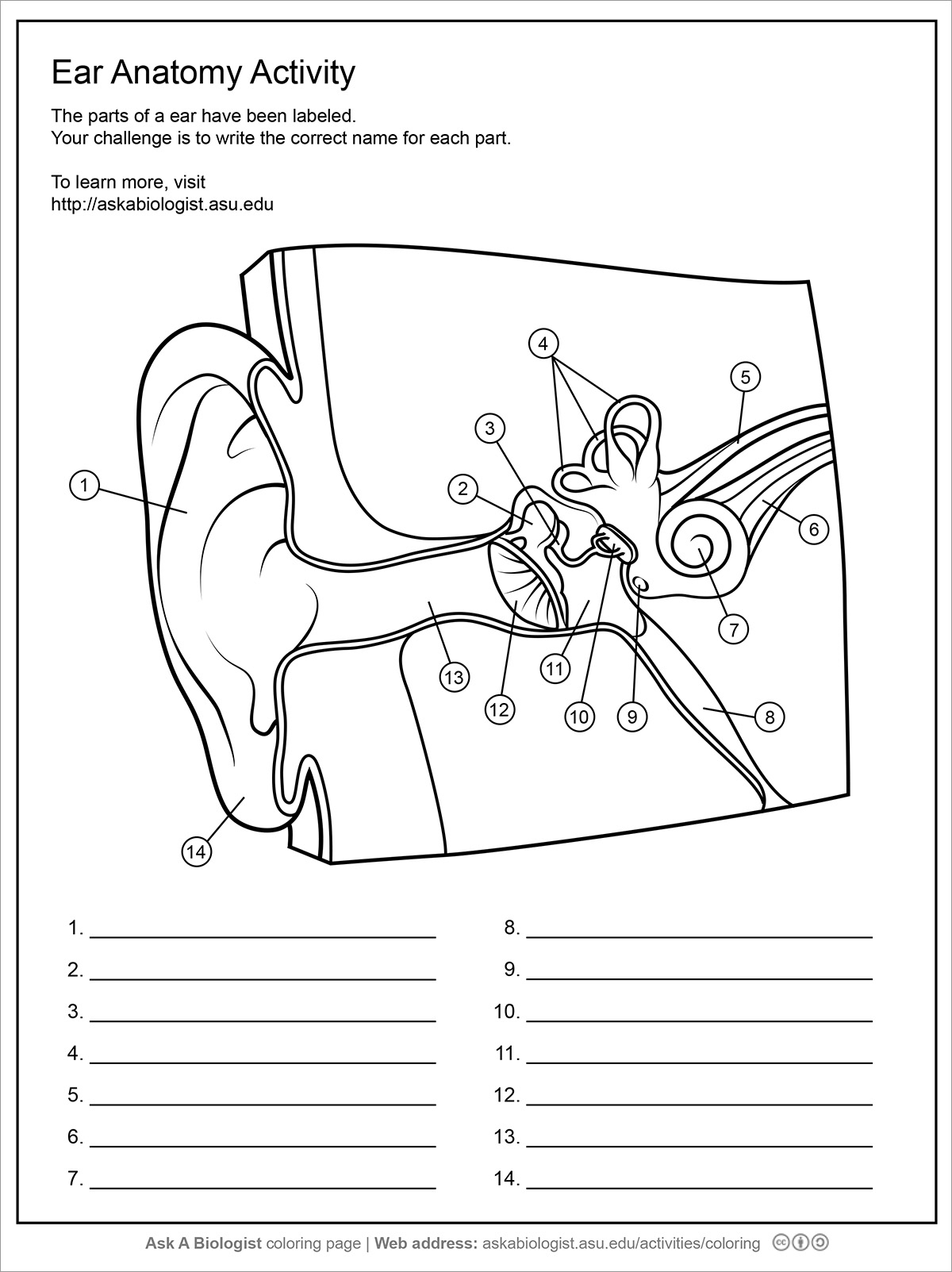 Human Ear Deviche Designs