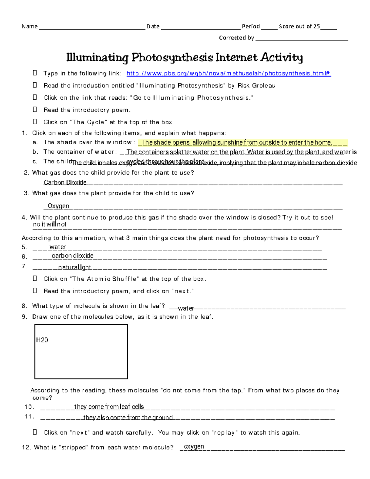 Illuminating Photosynthesis Internet Activity Bio 101 Assignment Studocu