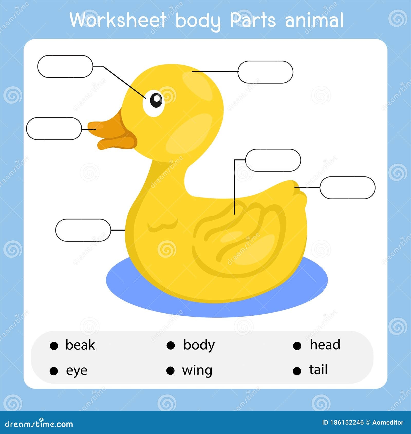 Illustrator Of Worksheet Body Parts Duck Animal Stock Vector Illustration Of Preschool Body 186152246 Illustrator Of Worksheet Body Parts Duck Animal Stock Vector Illustration Of Preschool Body 186152246