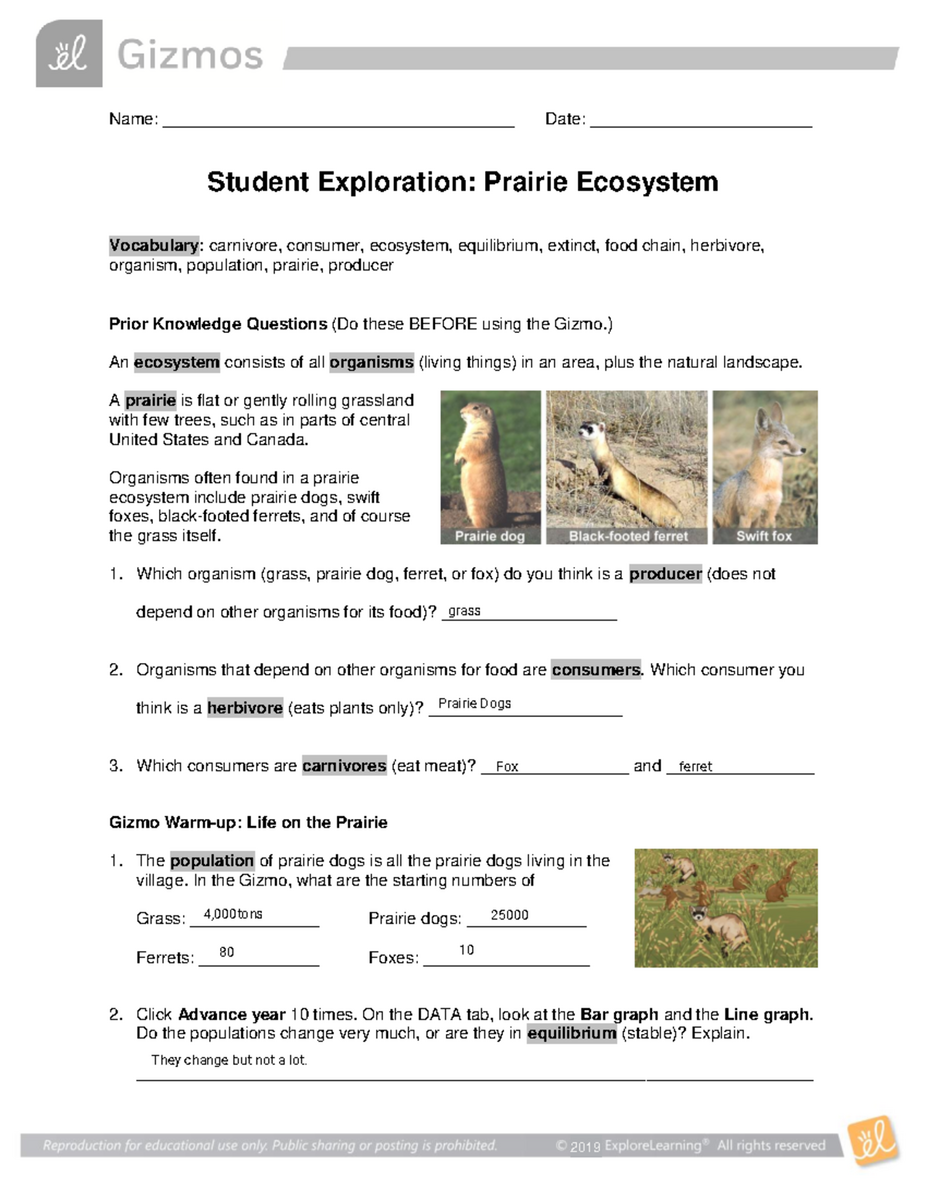 Kami Export Dylan Wilkinson Prairie Ecosystem Student Exploration Activities Studocu Kami Export Dylan Wilkinson Prairie Ecosystem Student Exploration Activities Studocu