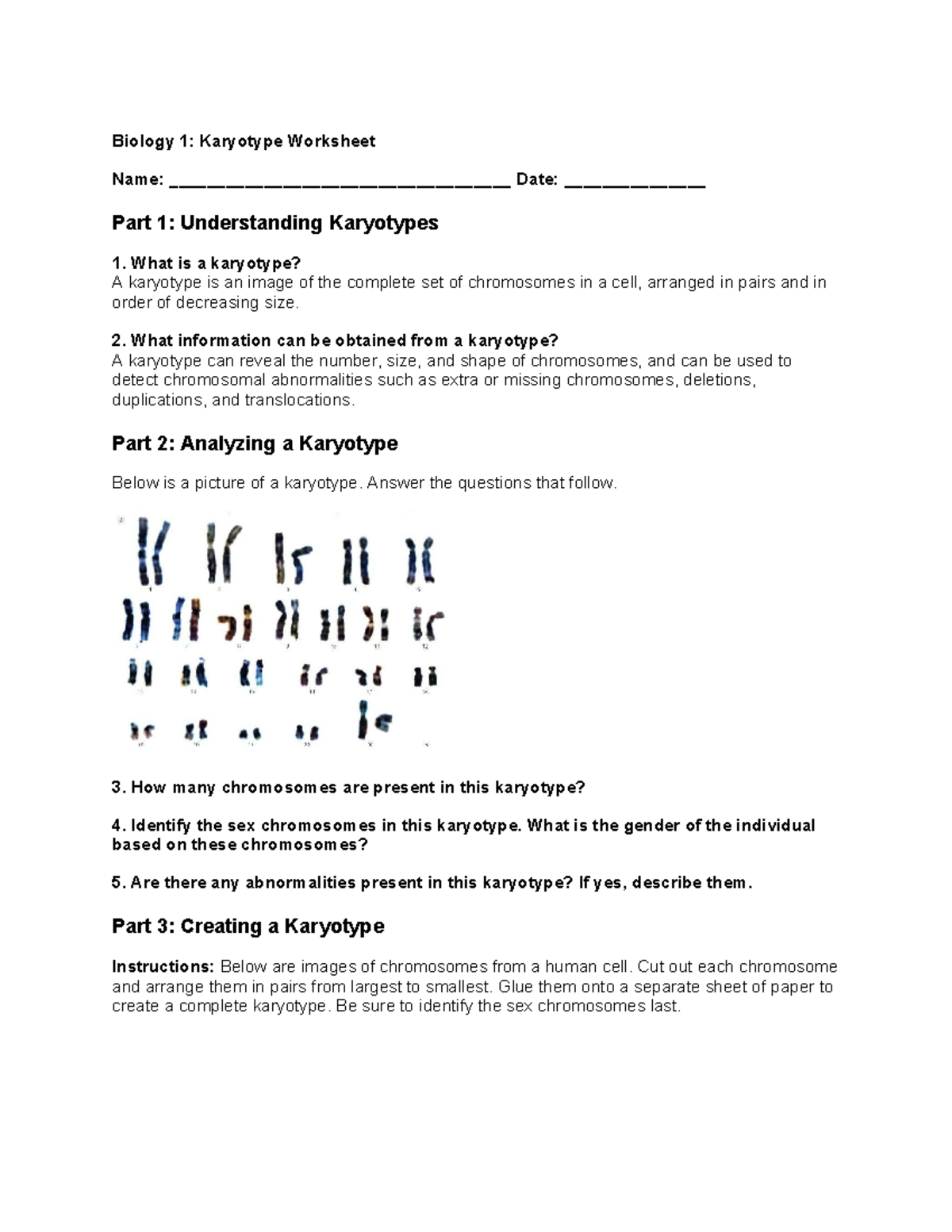 Karyotype Worksheet Bio 1 Karyotyping Chromosomal Disorders Studocu Genetics 101 Karyotype Lab Worksheet For Analysis And Study Studocu