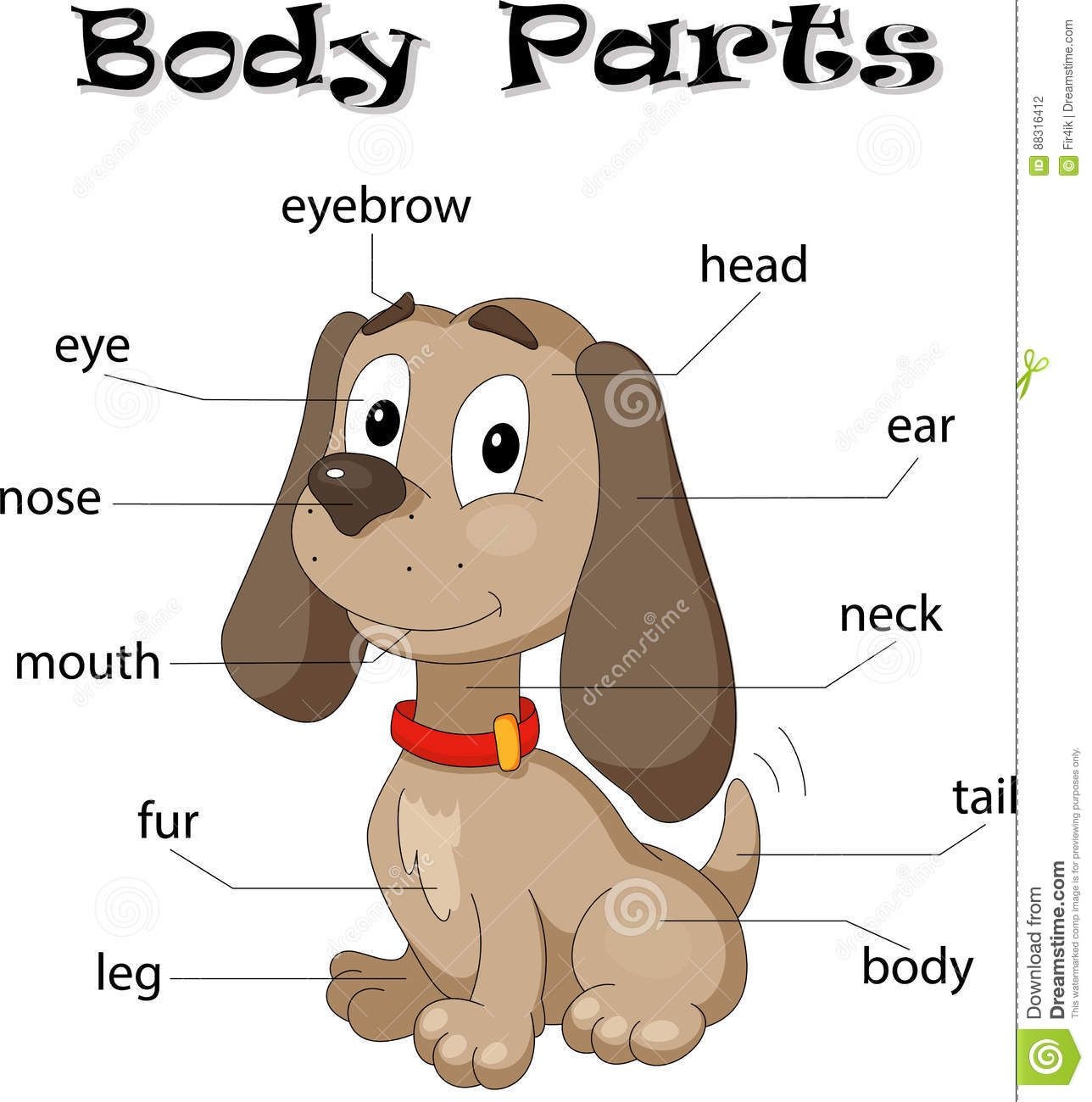 Label And Color The Parts Of A Dog