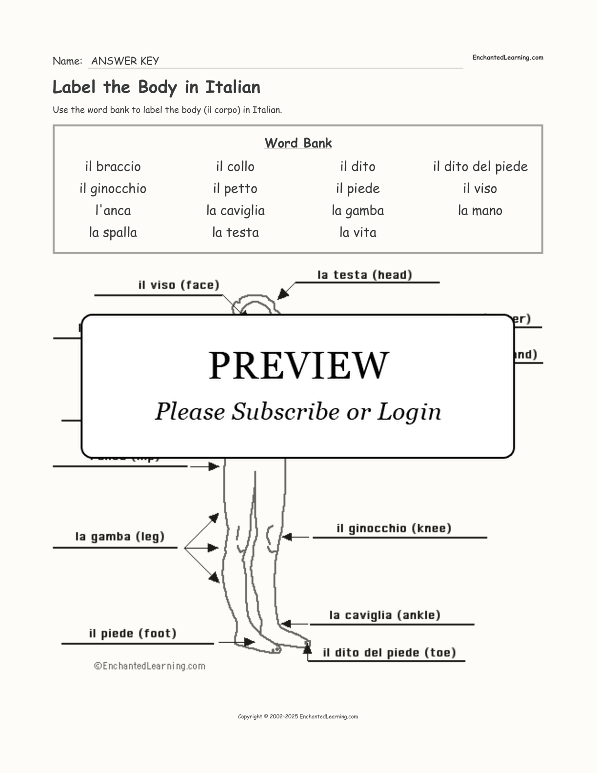 Label The Body In Italian Enchanted Learning