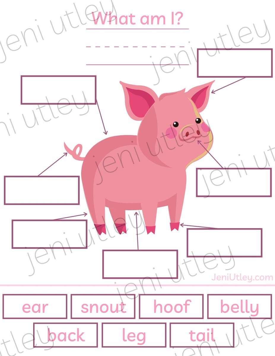 Label The Pig Parts Of A Pig Learning Activity For Kids Download Printable Education Homeschool Etsy Norway Label The Pig Parts Of A Pig Learning Activity For Kids Download Printable Education Homeschool Etsy Norway