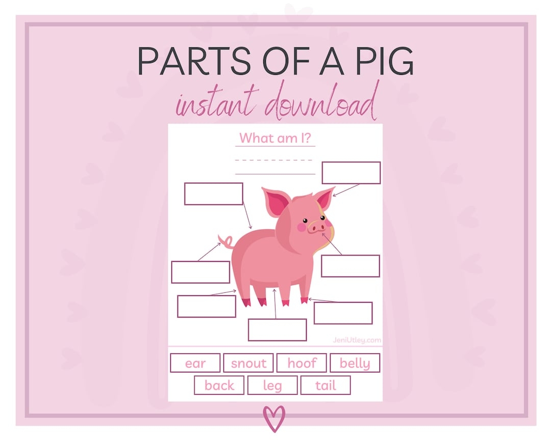 Label The Pig Parts Of A Pig Learning Activity For Kids Download Printable Education Homeschool Etsy Label The Pig Parts Of A Pig Learning Activity For Kids Download Printable Education Homeschool Etsy Norway