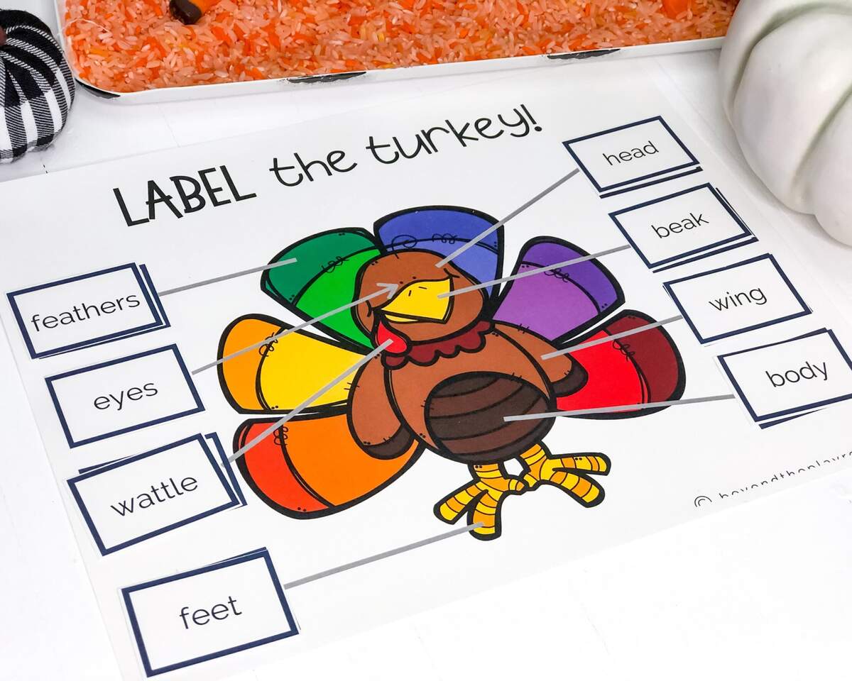 Label The Turkey Turkey Printable For Kids Thanksgiving Activity Preschool Curriculum Homeschool Printable Etsy