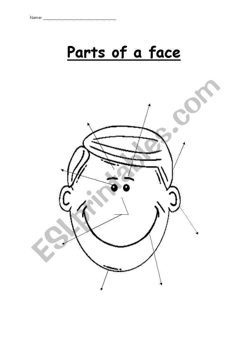 Labelling Parts Of A Face Two Pages ESL Worksheet By Sharowen Labelling Parts Of A Face Two Pages ESL Worksheet By Sharowen