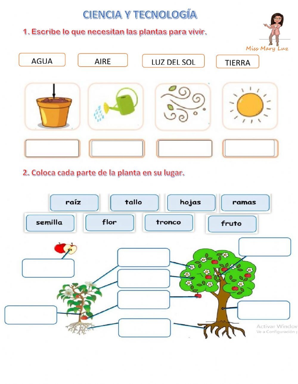 Las Mejores 88 Ideas De Partes De La Planta En 2025 Partes De La Planta Ciclos De Vida De Las Plantas Ciclo De La Planta