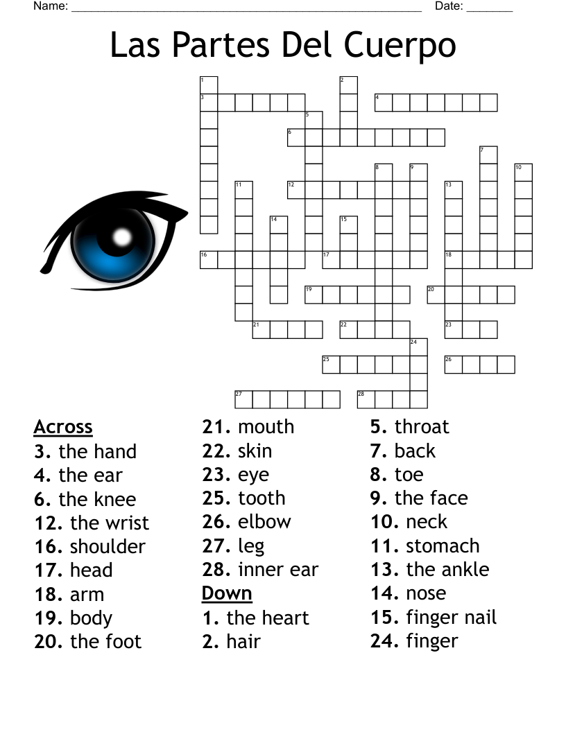 Las Partes Del Cuerpo Worksheet WordMint